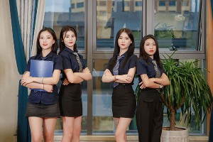 华纳公司客户团队